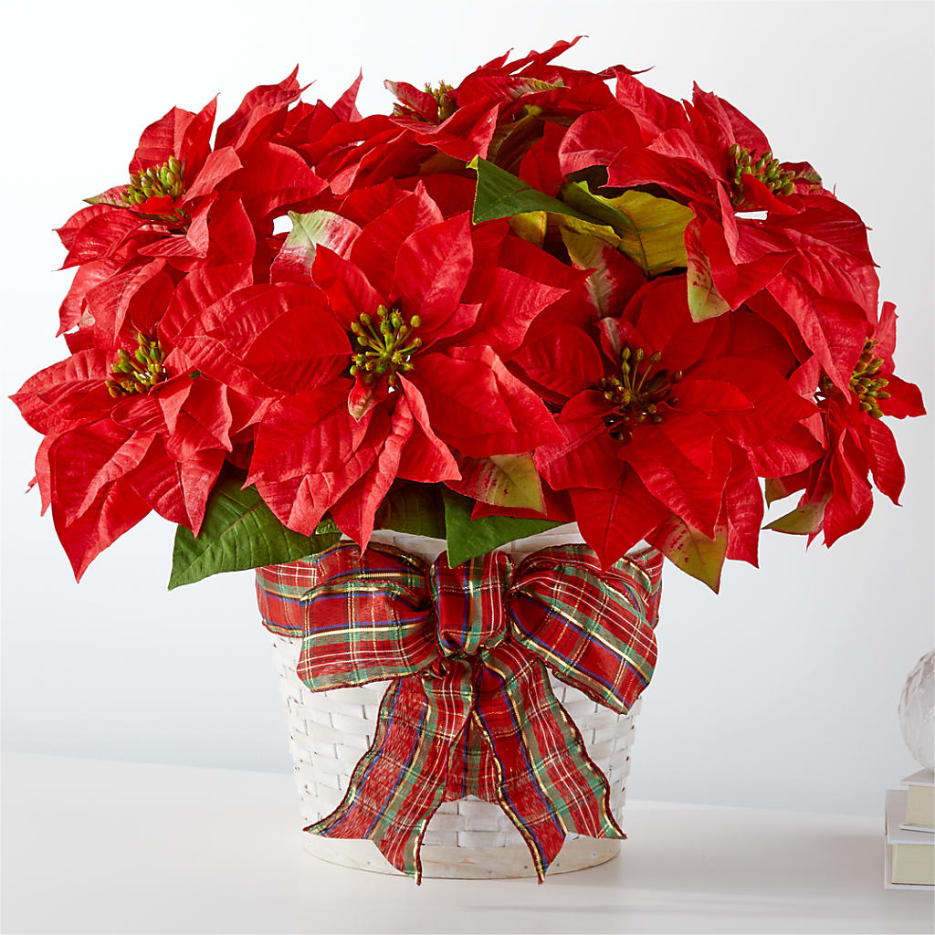 Happiest Holidays Poinsettia – Everbloom Flowers Llc, Aurora OH