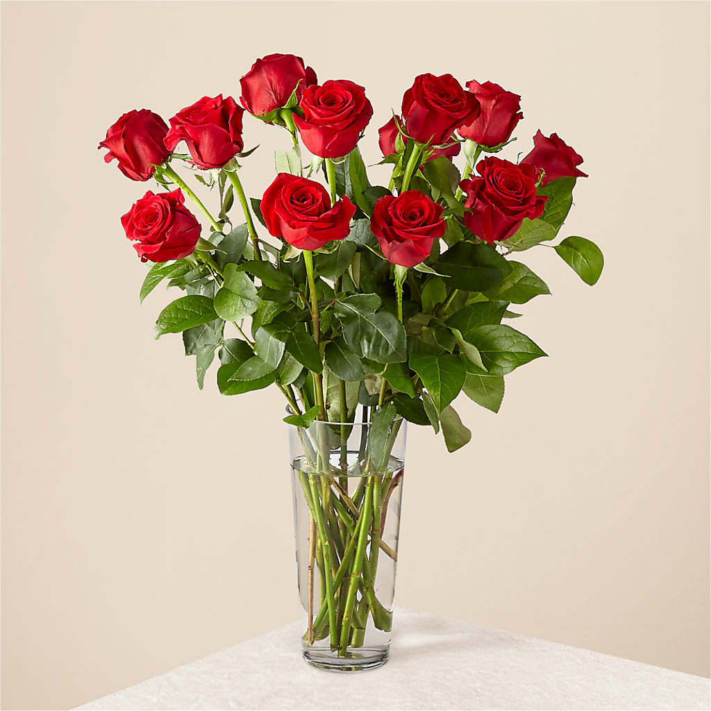 Long Stem Red Rose Bouquet – Everbloom Flowers Llc, Aurora OH