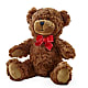 Adorable Plush Bear – Everbloom Flowers Llc, Aurora OH