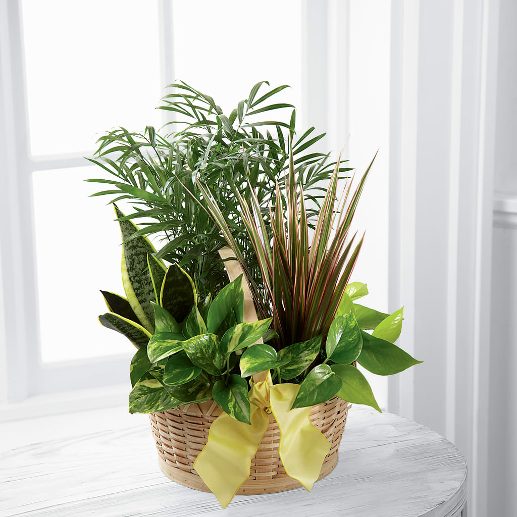 French Garden – Everbloom Flowers Llc, Aurora OH
