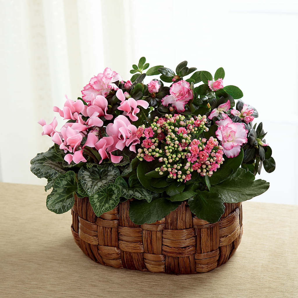 Pink Assortment – Everbloom Flowers Llc, Aurora OH