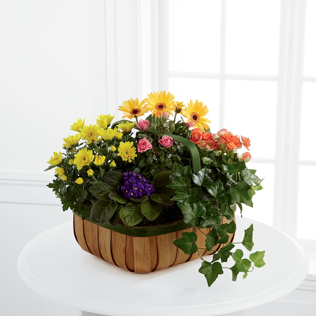 Gentle Blossoms Basket – Everbloom Flowers Llc, Aurora OH