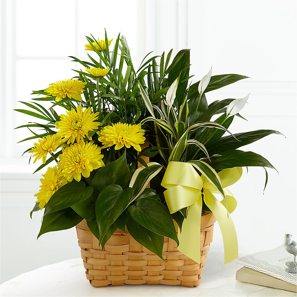Loving Light Dishgarden – Everbloom Flowers Llc, Aurora OH