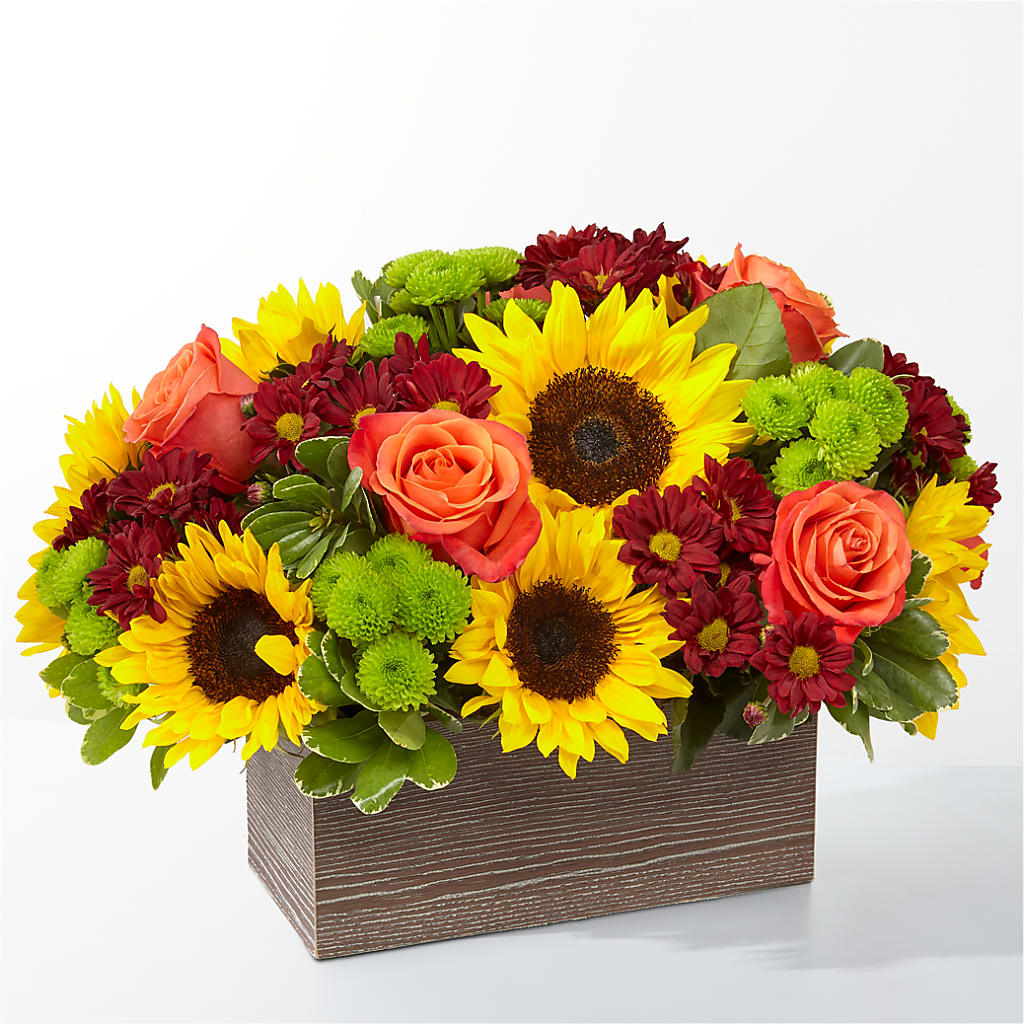 Happy Harvest Garden – Everbloom Flowers Llc, Aurora OH