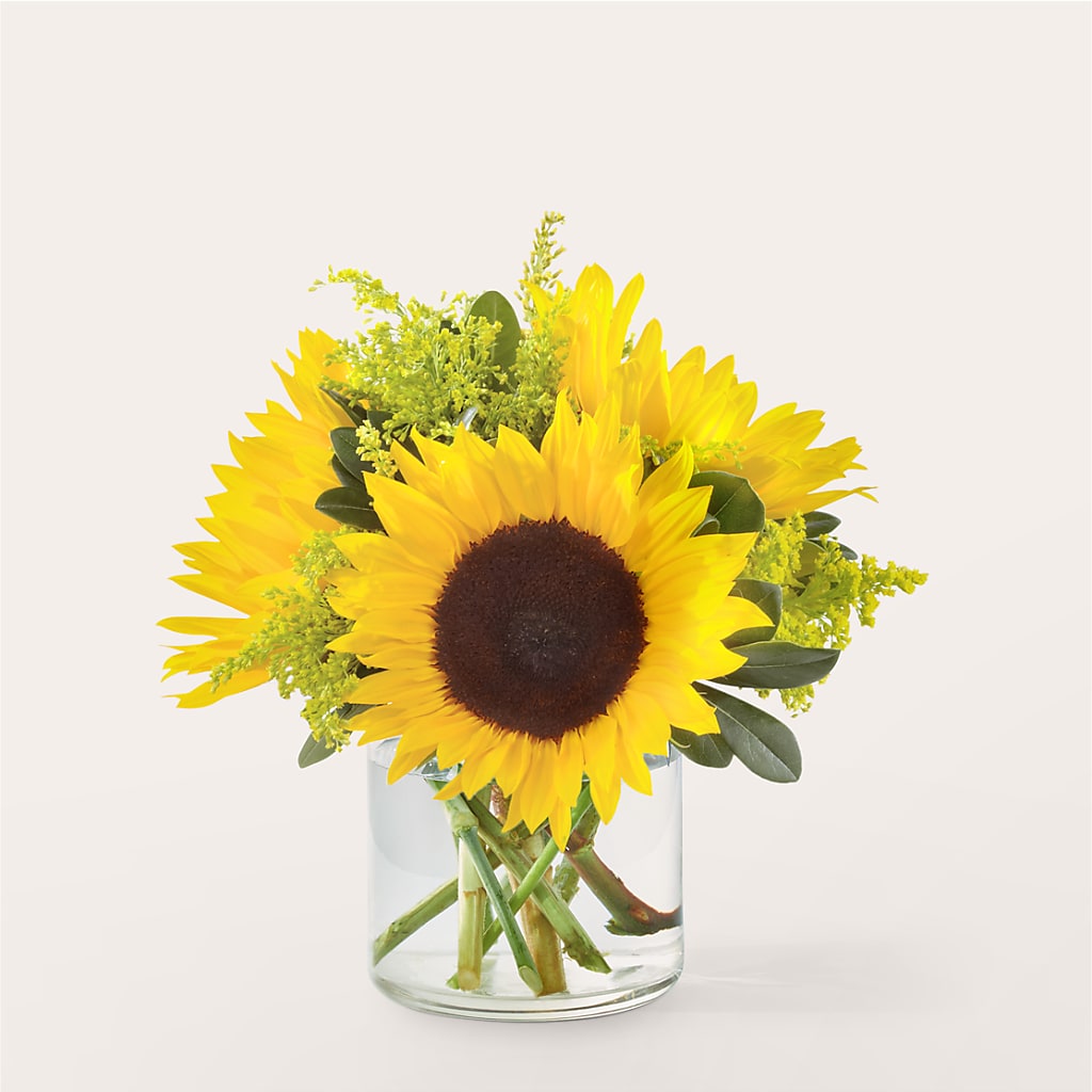 Beaming Sunflower Bouquet – Everbloom Flowers Llc, Aurora OH