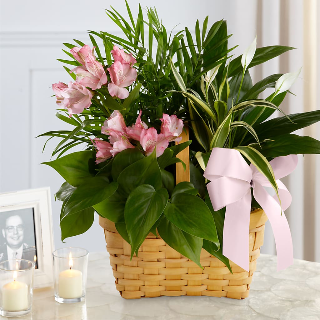 Living Spirit Dishgarden – Everbloom Flowers Llc, Aurora OH