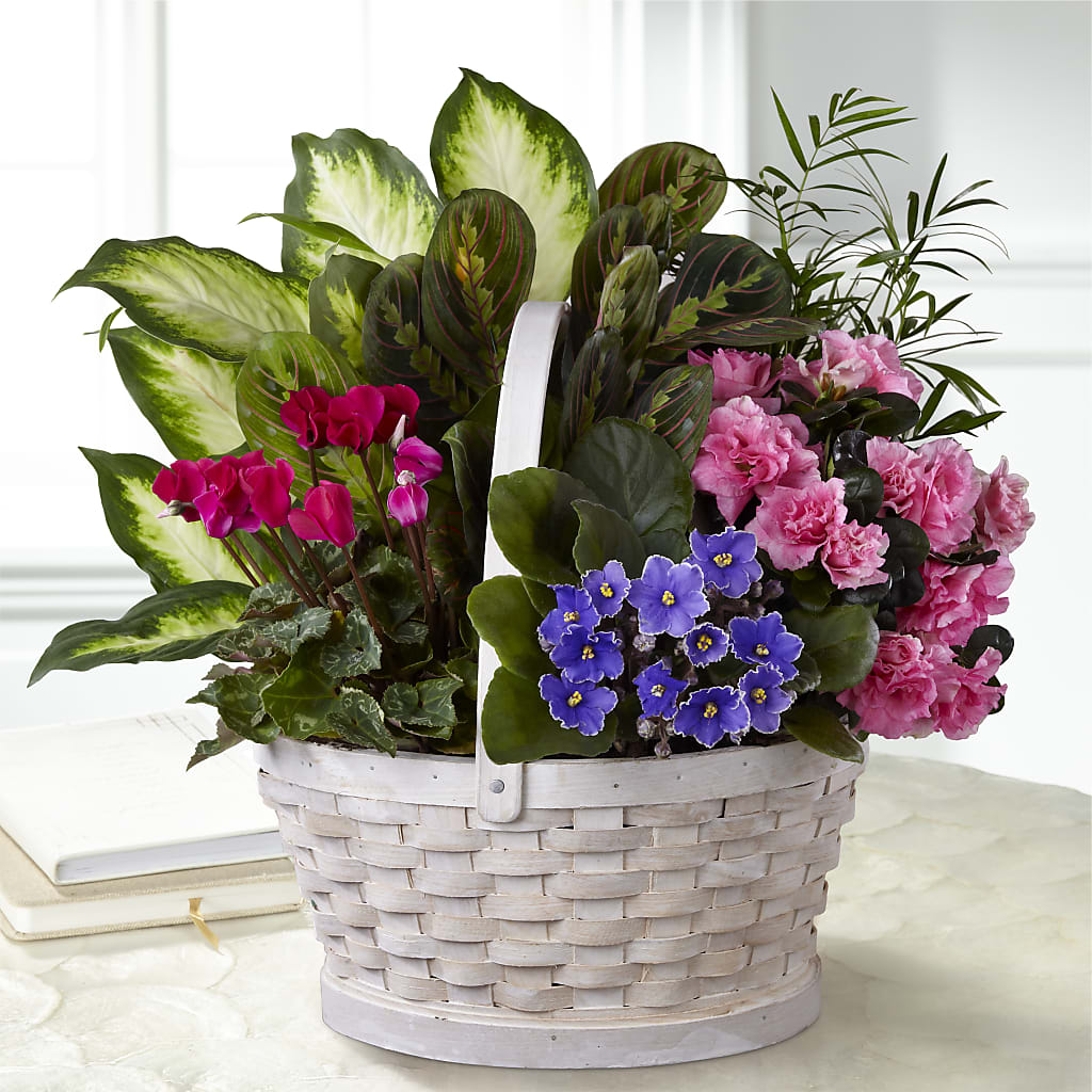 Peaceful Garden Planter – Everbloom Flowers Llc, Aurora OH