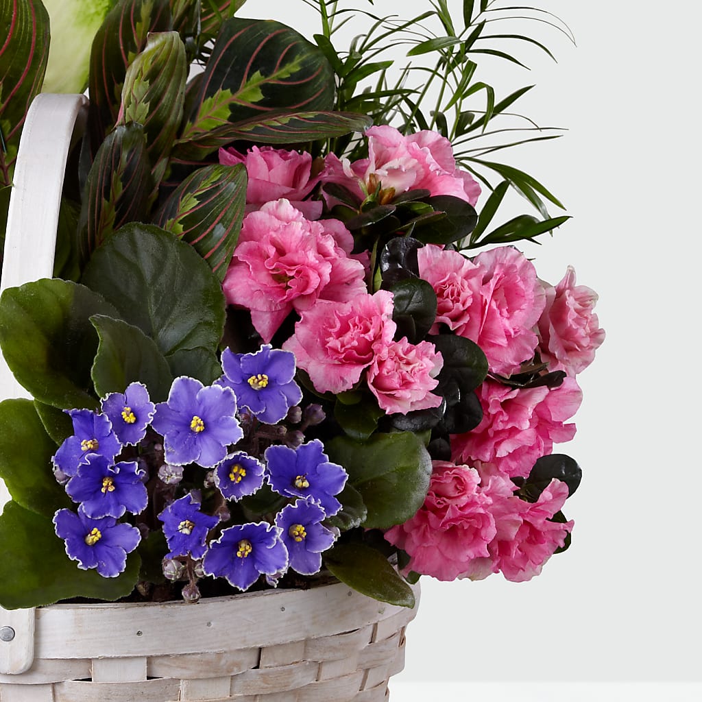 Peaceful Garden Planter – Everbloom Flowers Llc, Aurora OH