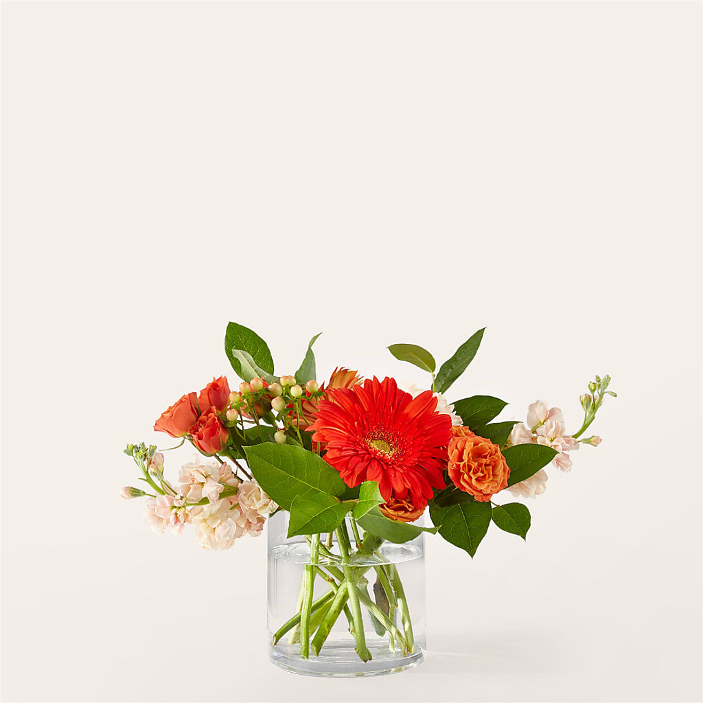 Paloma Please Bouquet – Everbloom Flowers Llc, Aurora OH