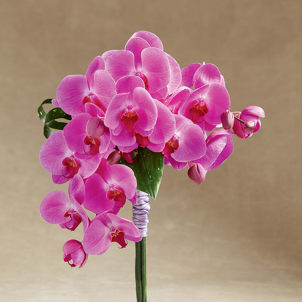 Glorious Bouquet – Everbloom Flowers Llc, Aurora OH