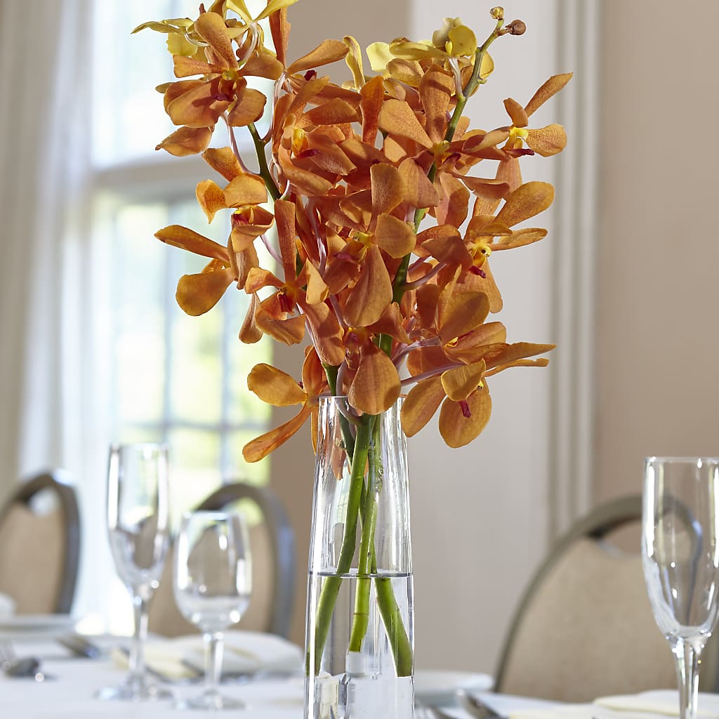 Orange Mokara Bud Vase – Everbloom Flowers Llc, Aurora OH
