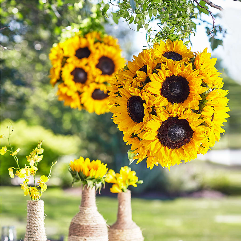 Sublime Garden Hanging Arrangement – Everbloom Flowers Llc, Aurora OH