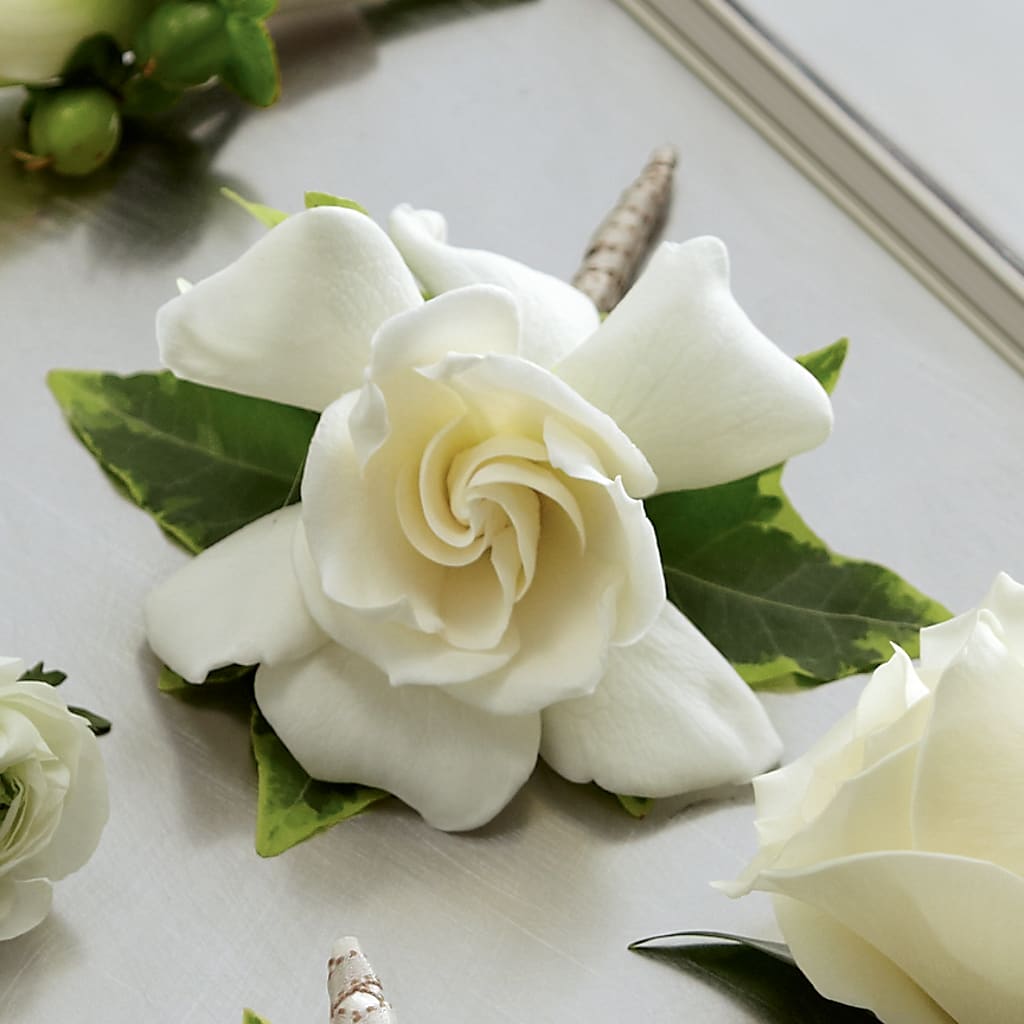 Gardenia Boutonniere – Everbloom Flowers Llc, Aurora OH