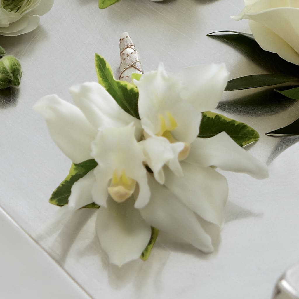 White Mini Cymbidium Boutonniere – Everbloom Flowers Llc, Aurora OH