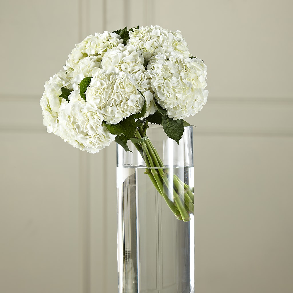 White Hydrangea Hand-Tied Bouquet – Everbloom Flowers Llc, Aurora OH