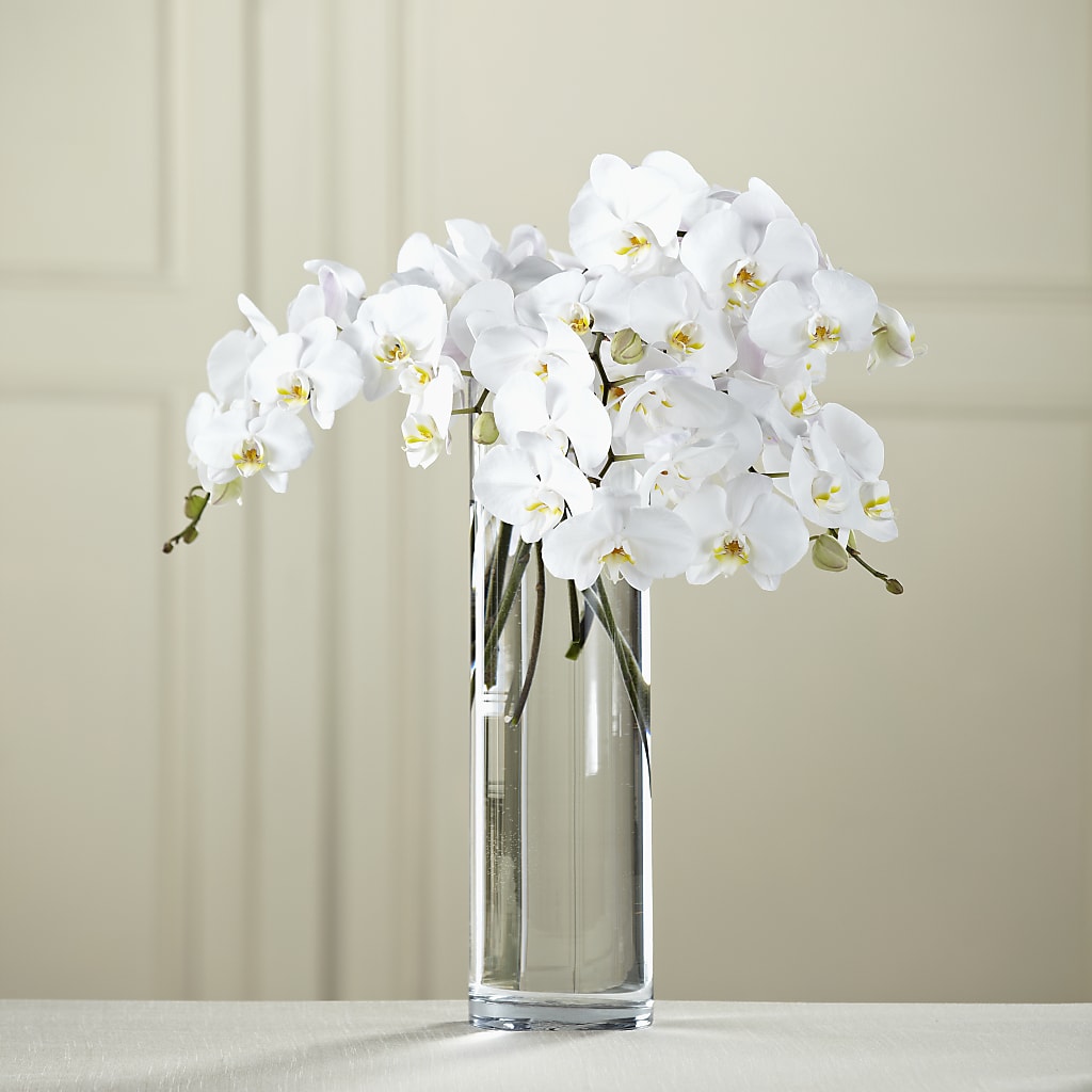 White Phalaenopsis Bouquet – Everbloom Flowers Llc, Aurora OH