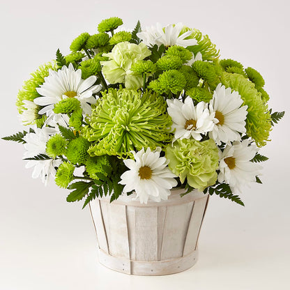 Lucky Charm Basket (Standard) –  Everbloom Flowers Llc, Aurora OH
