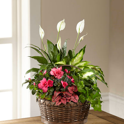 Dream in Pink Dishgarden –  Everbloom Flowers Llc, Aurora OH