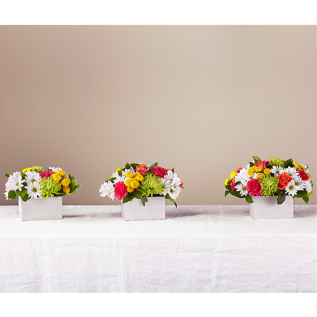 Sorbet Bouquet –  Everbloom Flowers Llc, Aurora OH