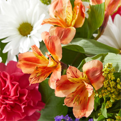 Oopsie Daisy Box Bouquet –  Everbloom Flowers Llc, Aurora OH