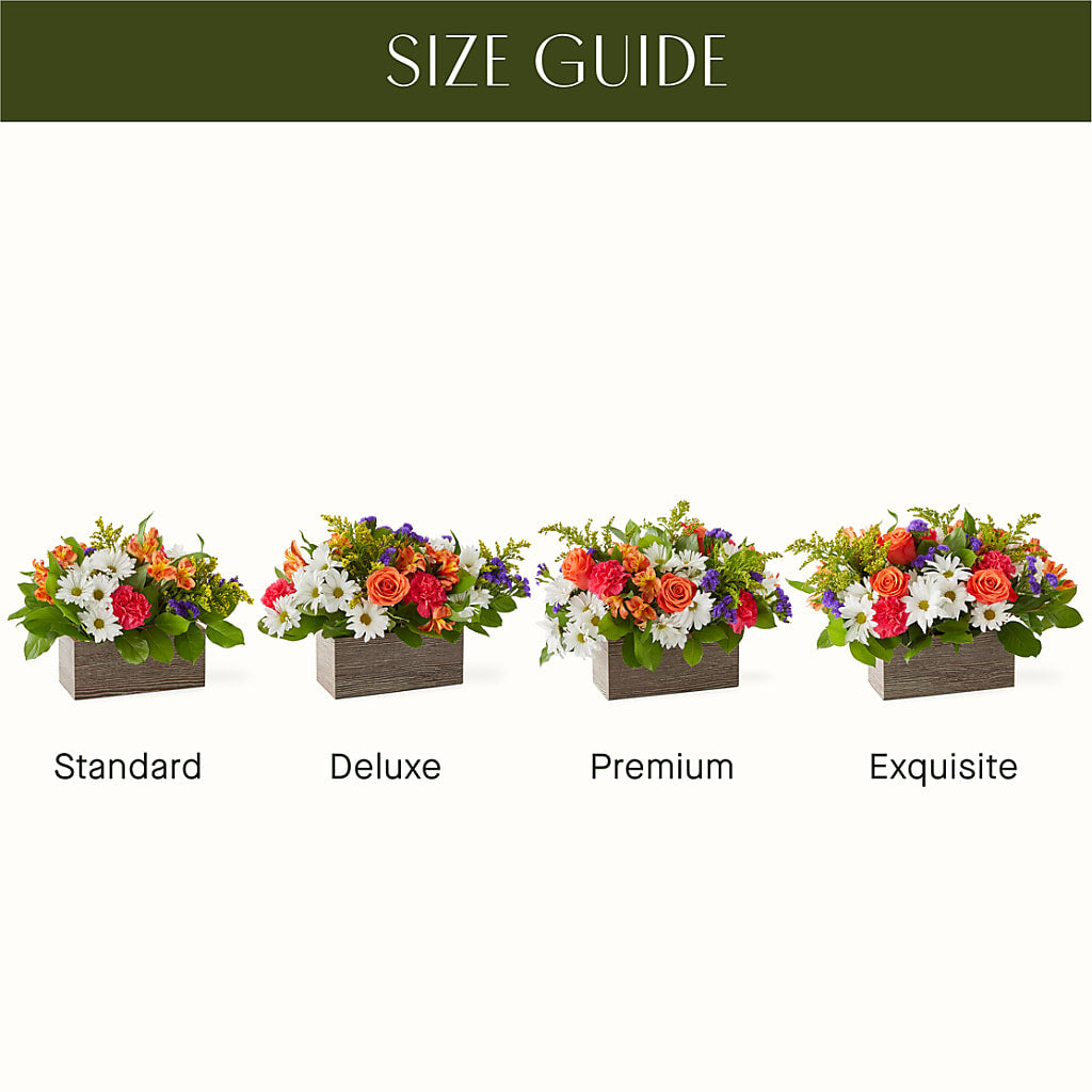 Oopsie Daisy Box Bouquet –  Everbloom Flowers Llc, Aurora OH