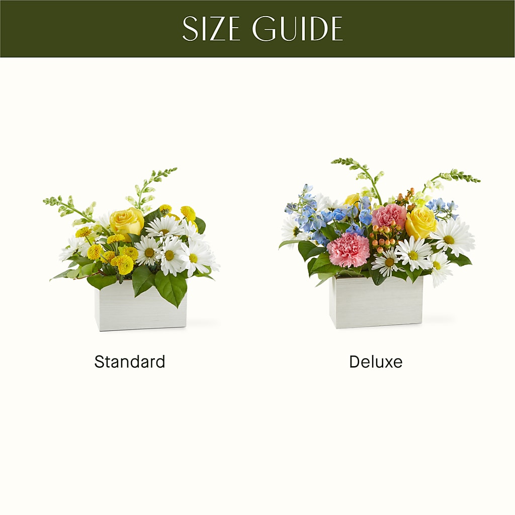 Sun Salutation Box Bouquet –  Everbloom Flowers Llc, Aurora OH