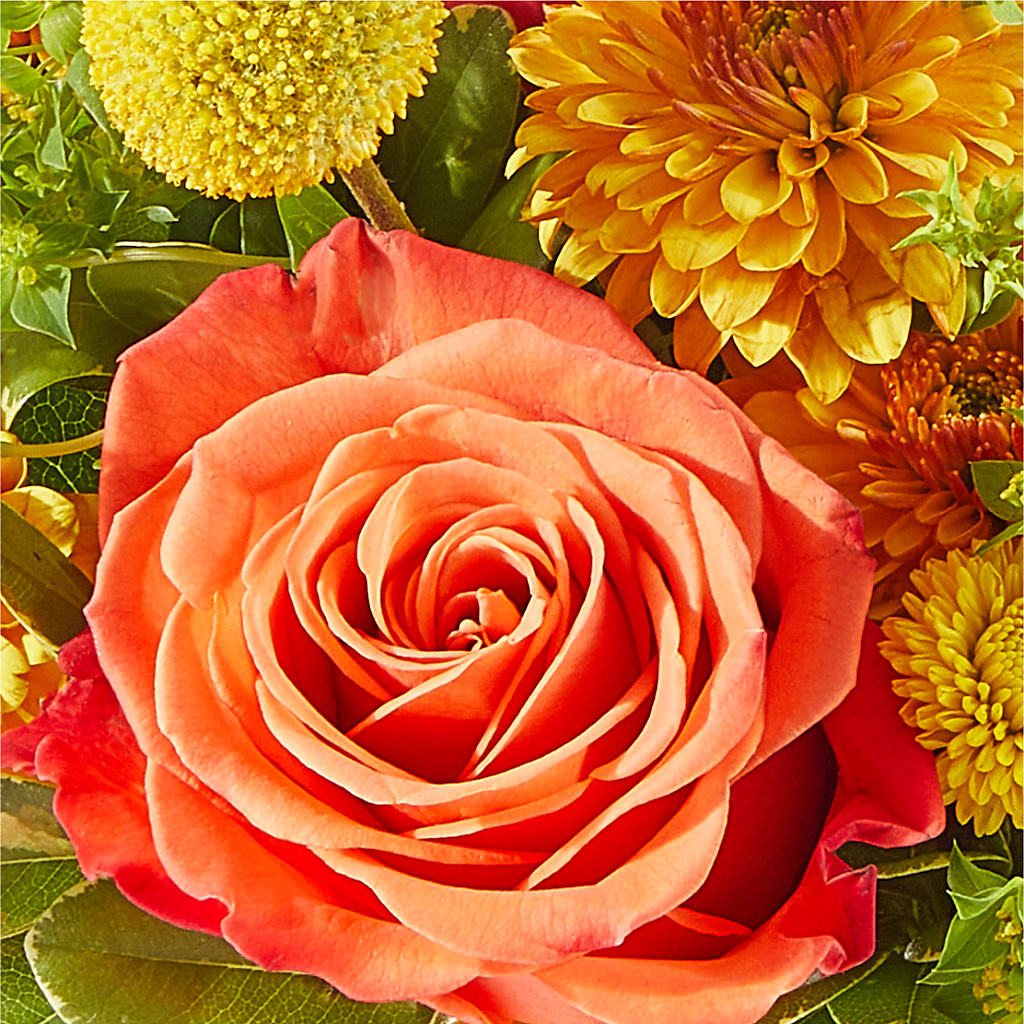 Gourdgeous Pumpkin –  Everbloom Flowers Llc, Aurora OH