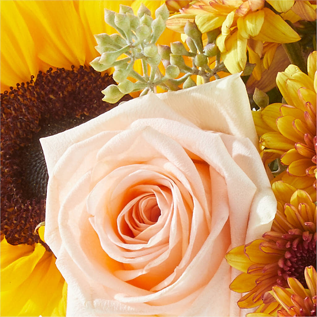 Pumpkin to Talk About Bouquet –  Everbloom Flowers Llc, Aurora OH