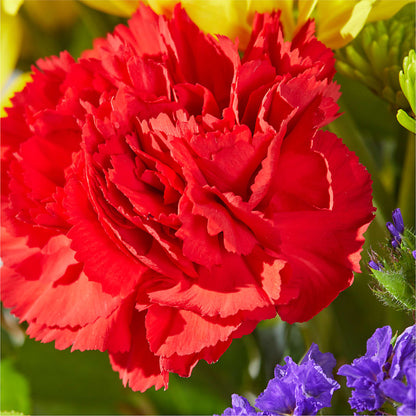 Brighter Days Bouquet –  Everbloom Flowers Llc, Aurora OH