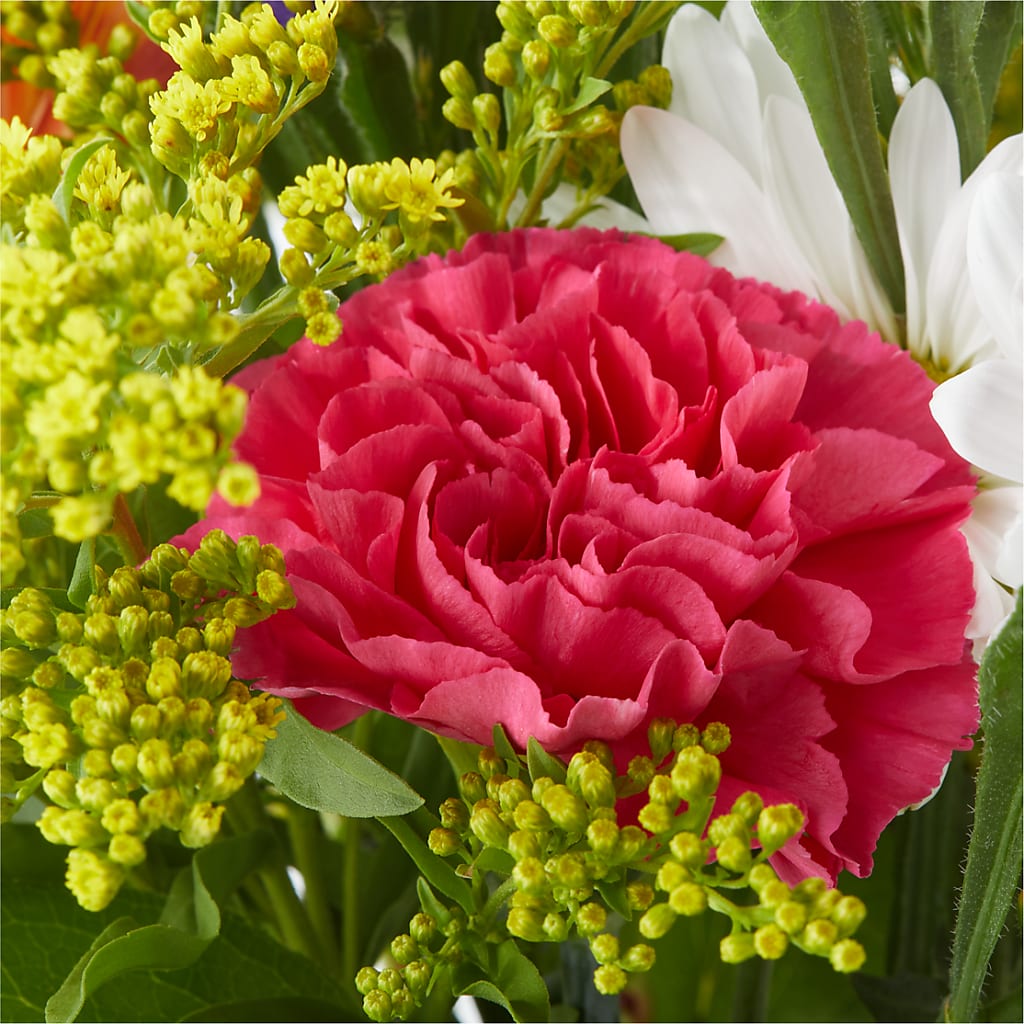 Oopsie Daisy Bouquet –  Everbloom Flowers Llc, Aurora OH