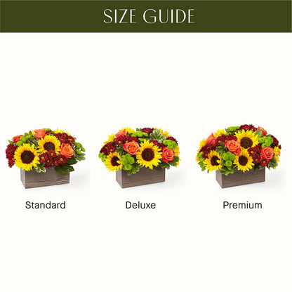 Happy Harvest Garden –  Everbloom Flowers Llc, Aurora OH