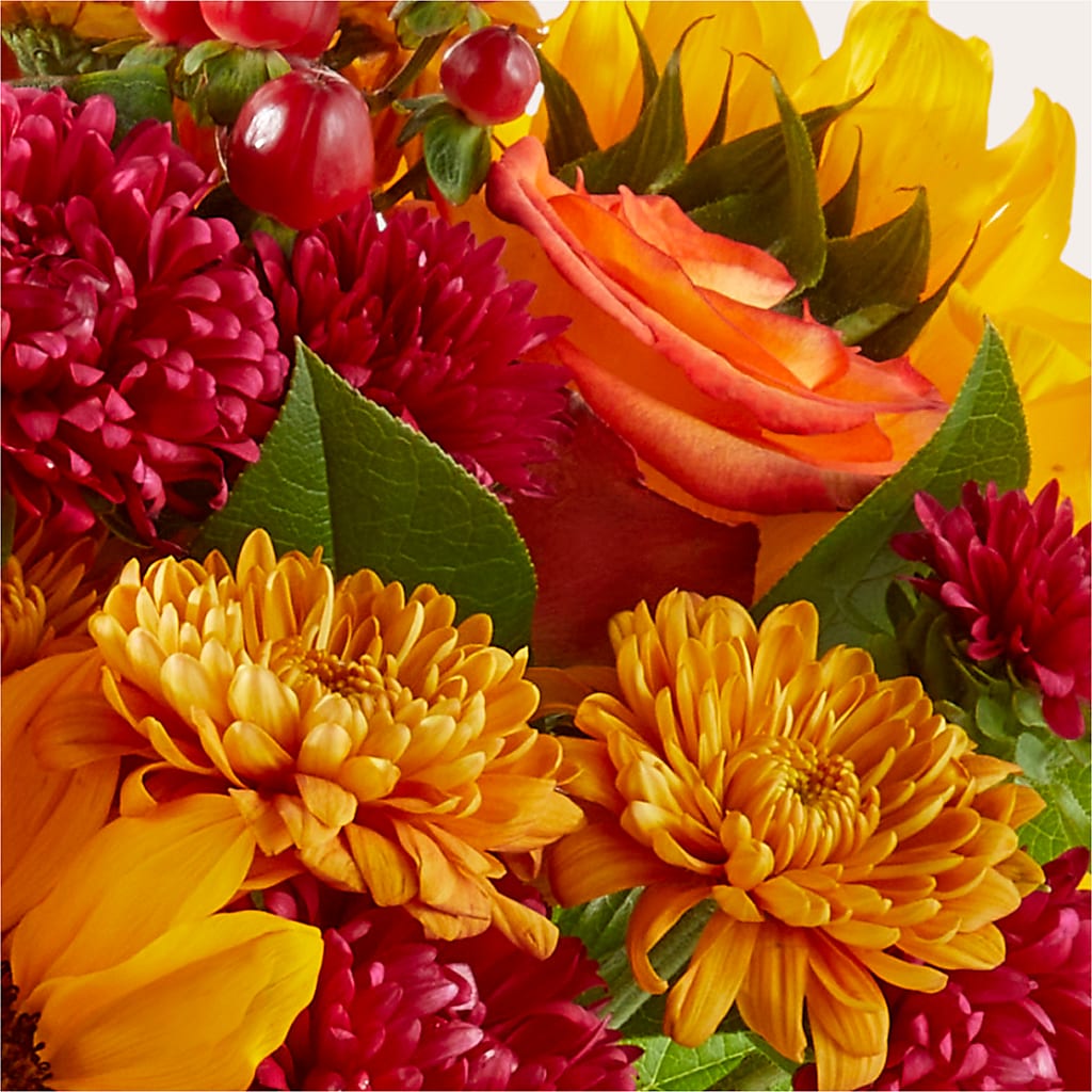 Sweater Season - A Florist Original –  Everbloom Flowers Llc, Aurora OH