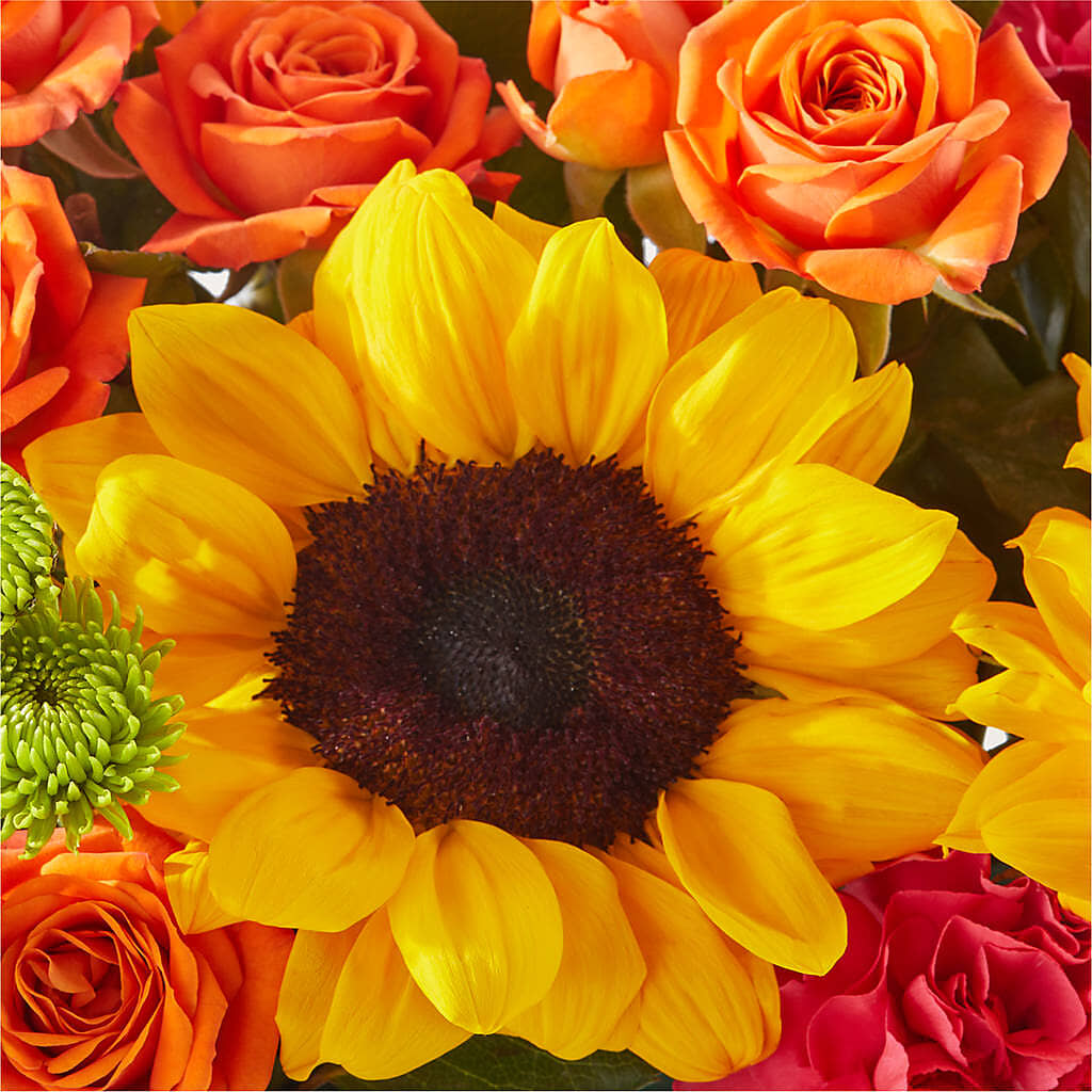 Sun-drenched Blooms Box Bouquet –  Everbloom Flowers Llc, Aurora OH