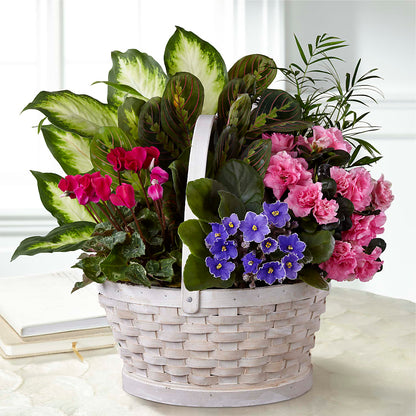Peaceful Garden Planter –  Everbloom Flowers Llc, Aurora OH