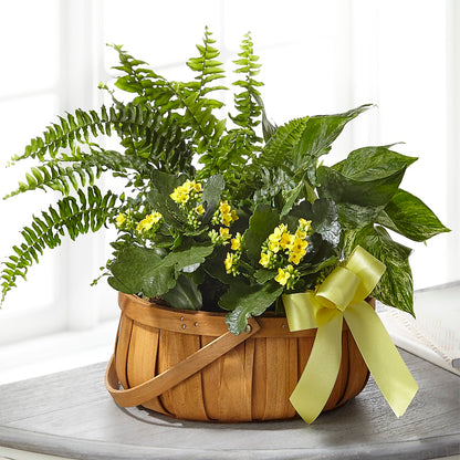 Always Dear Dishgarden –  Everbloom Flowers Llc, Aurora OH