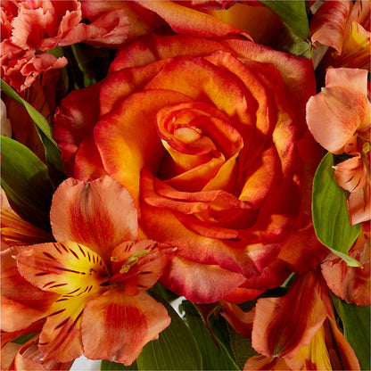 Apricot Glow Bouquet –  Everbloom Flowers Llc, Aurora OH
