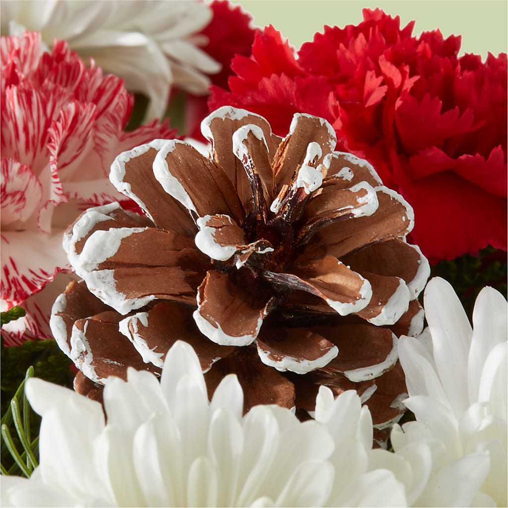 Candy Cane Lane Bouquet –  Everbloom Flowers Llc, Aurora OH