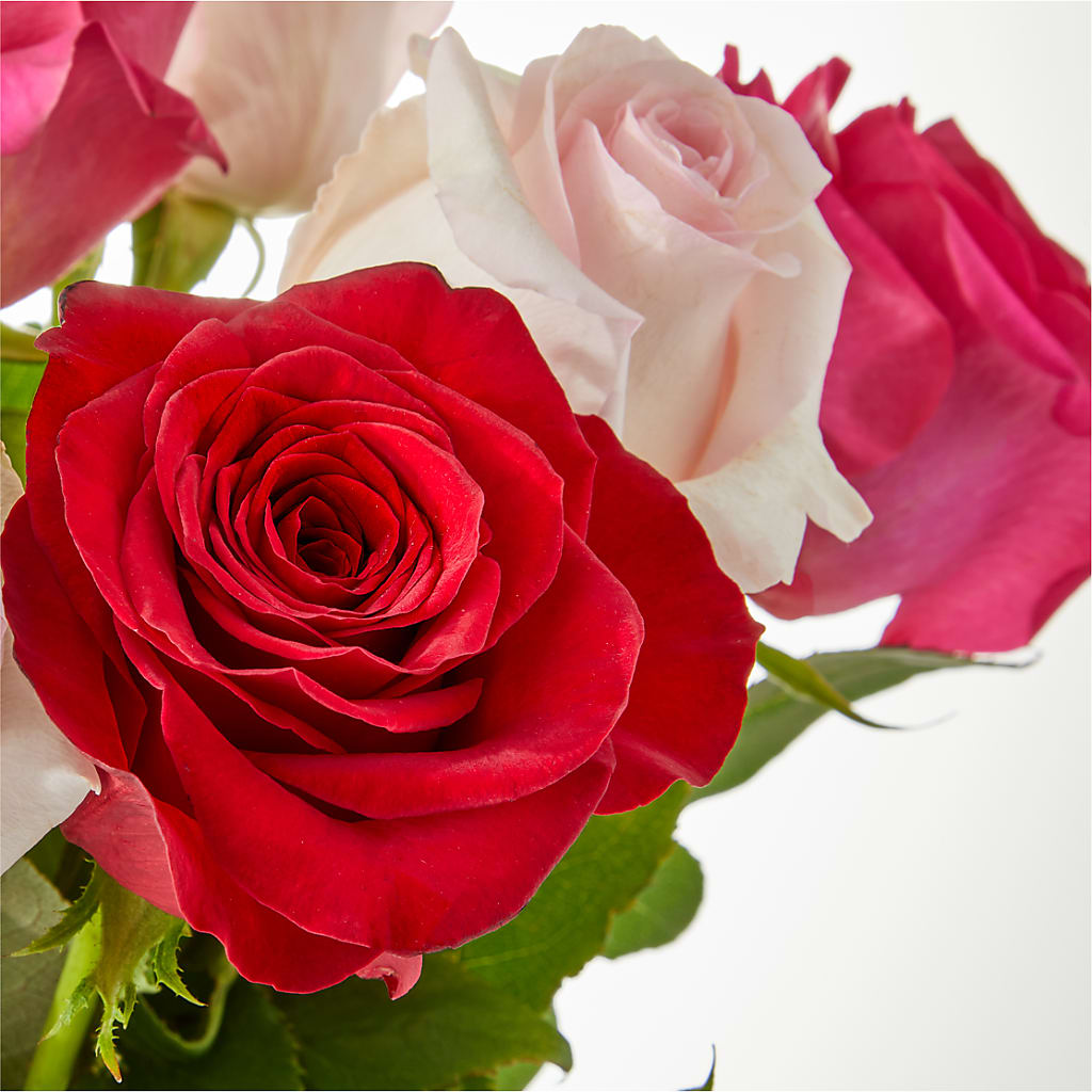 Charming Rose Bouquet –  Everbloom Flowers Llc, Aurora OH