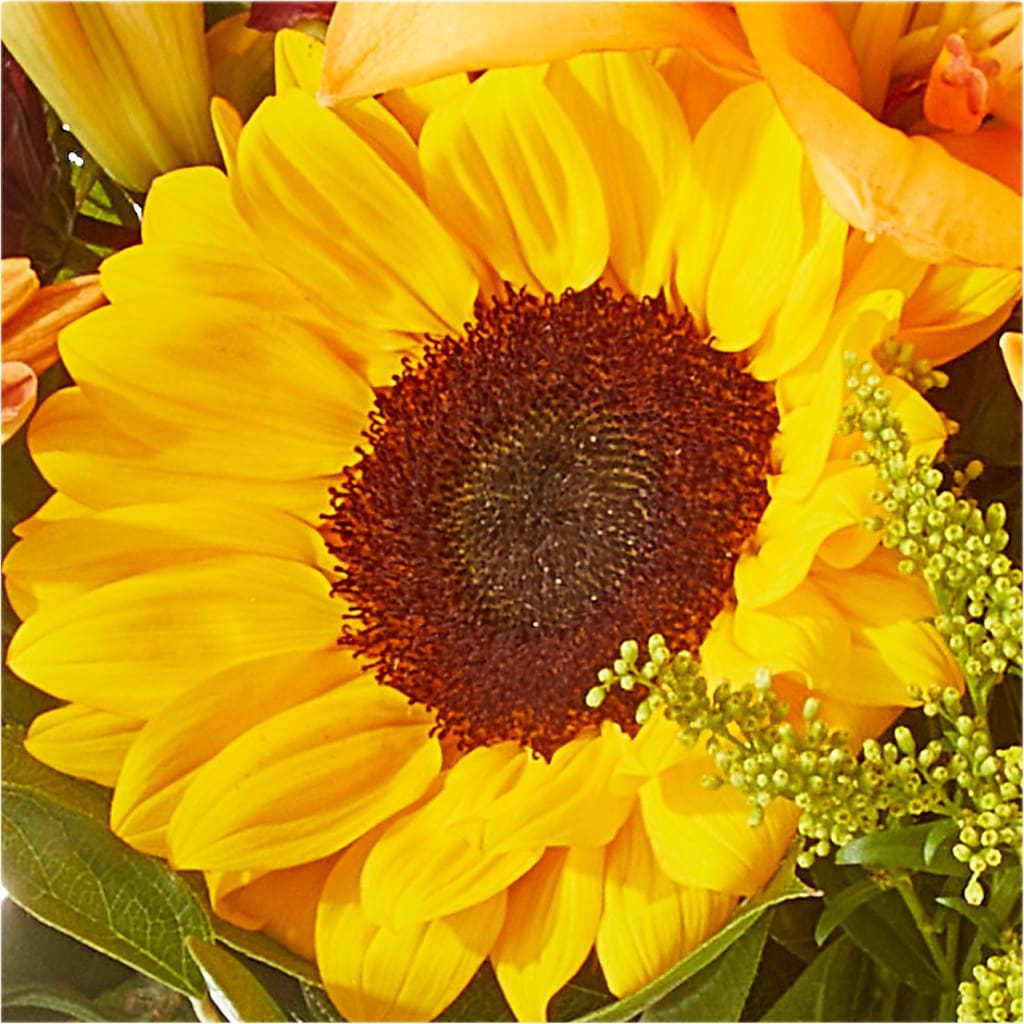 Seasons Change Bouquet –  Everbloom Flowers Llc, Aurora OH