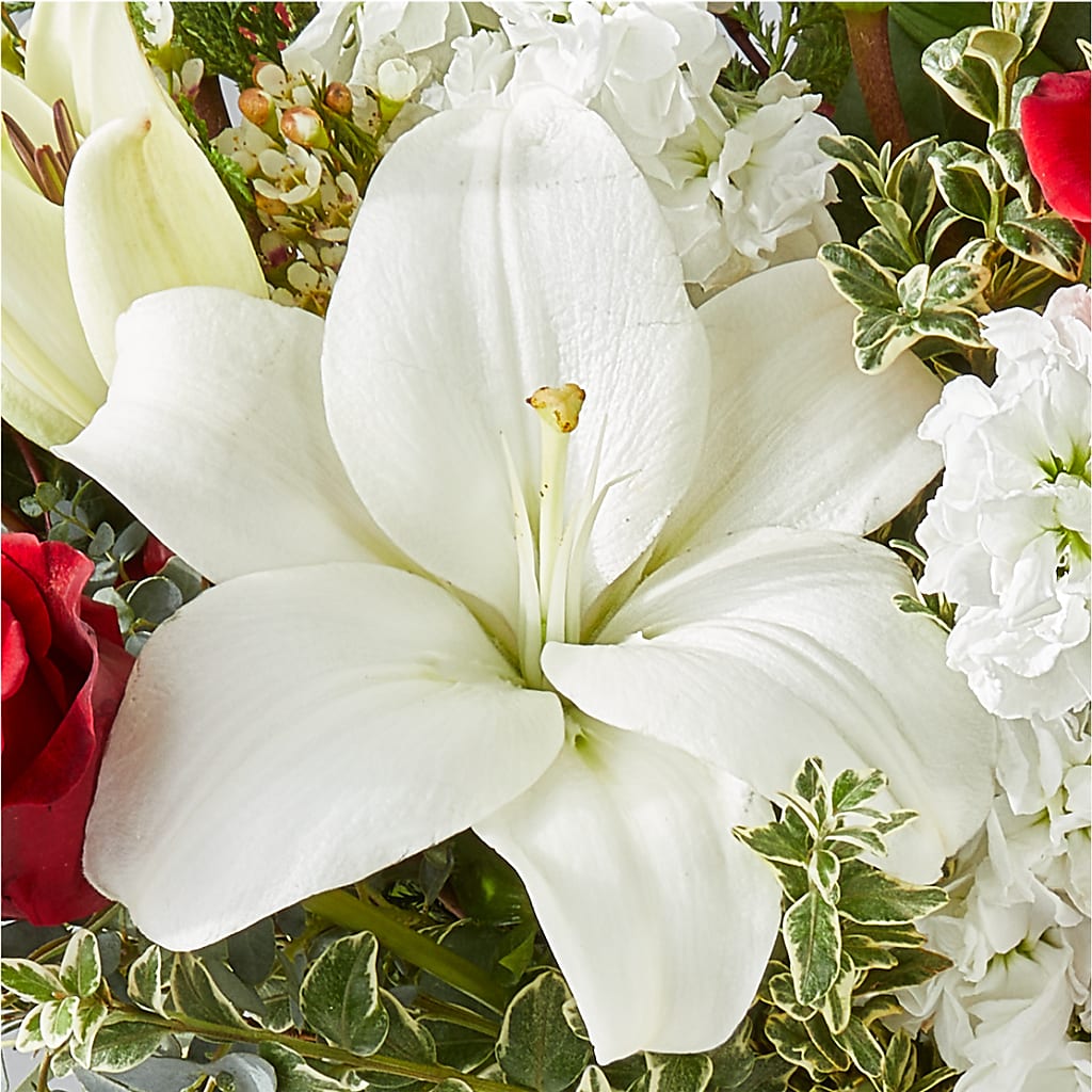 Twinkle Lights Bouquet –  Everbloom Flowers Llc, Aurora OH