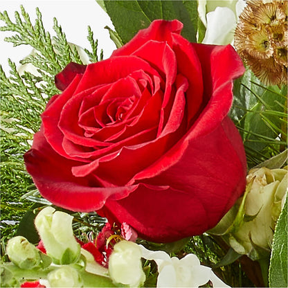 Deck the Halls Bouquet –  Everbloom Flowers Llc, Aurora OH