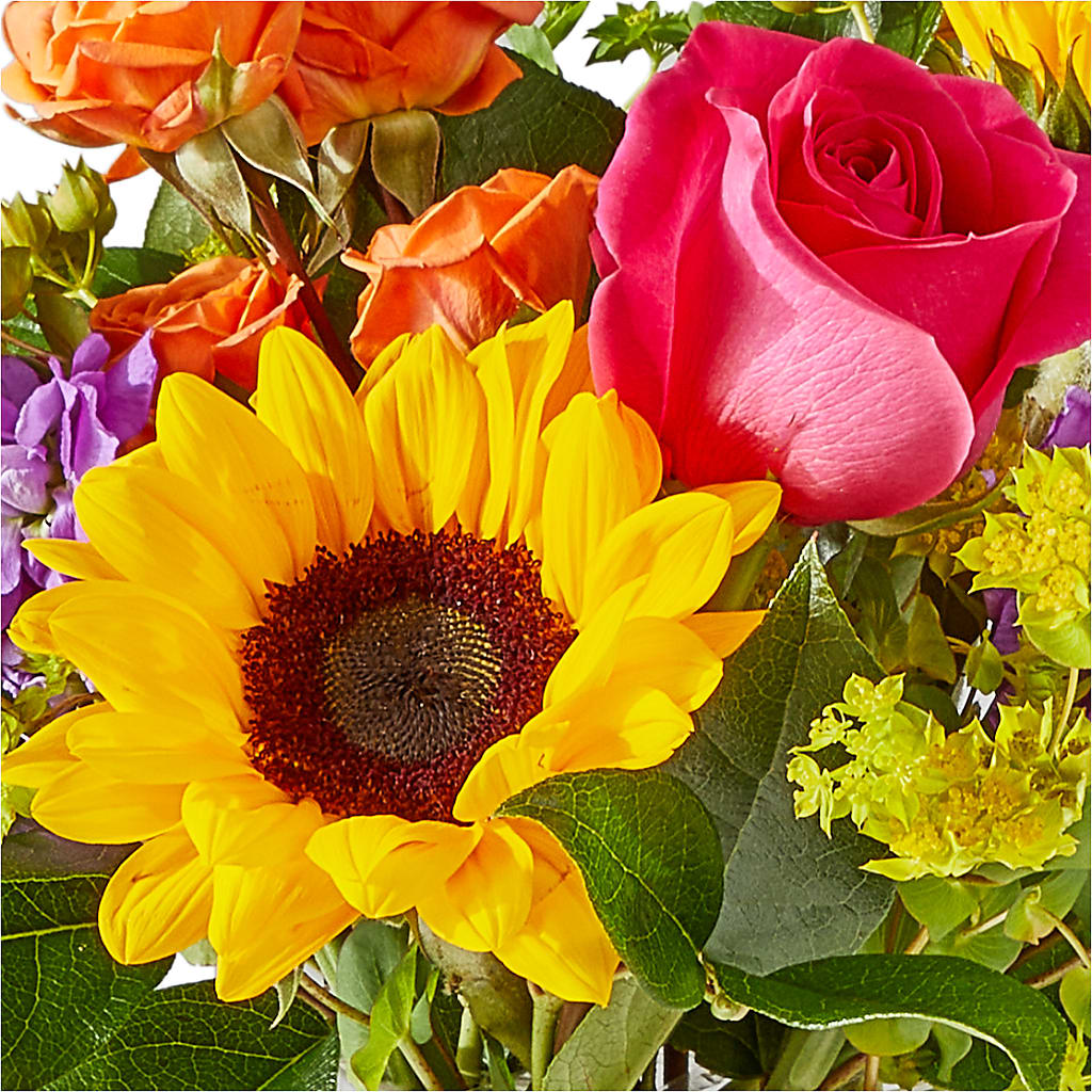 Vibrant Greetings Bouquet –  Everbloom Flowers Llc, Aurora OH