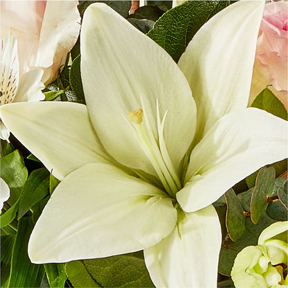 Ballet Slippers Bouquet –  Everbloom Flowers Llc, Aurora OH