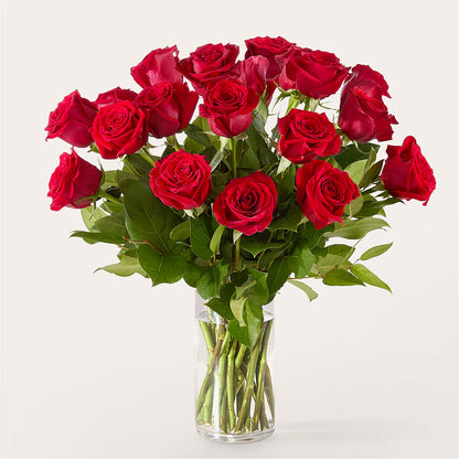 The One Red Rose Bouquet –  Everbloom Flowers Llc, Aurora OH