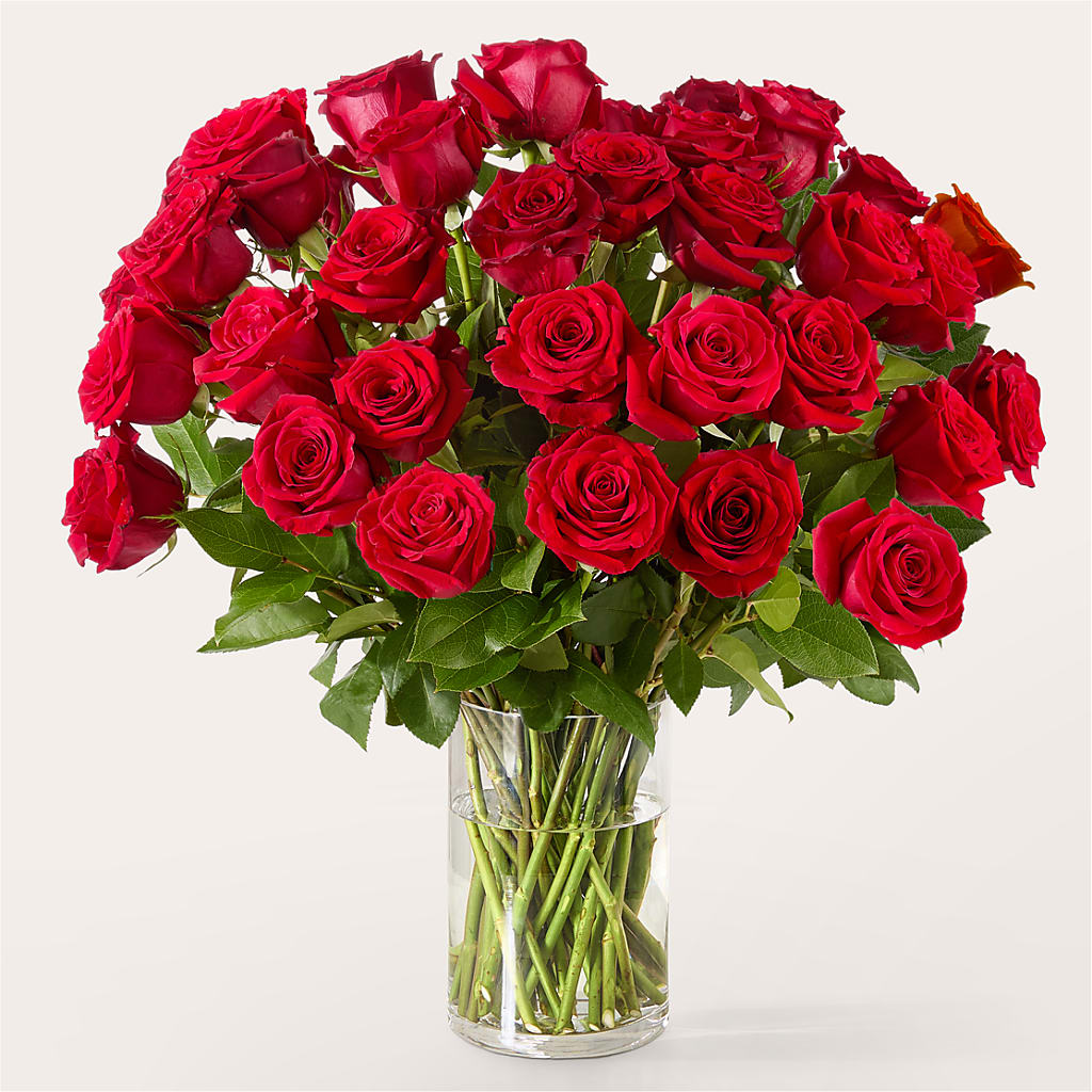 The One Red Rose Bouquet –  Everbloom Flowers Llc, Aurora OH