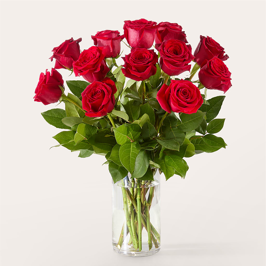 The One Red Rose Bouquet –  Everbloom Flowers Llc, Aurora OH