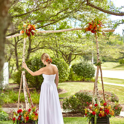 Arbor of Love Archway –  Everbloom Flowers Llc, Aurora OH