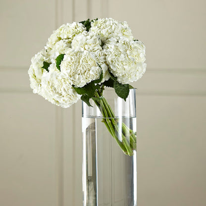 White Hydrangea Hand-Tied Bouquet –  Everbloom Flowers Llc, Aurora OH