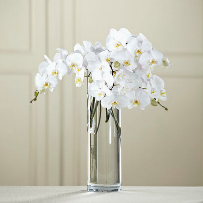 White Phalaenopsis Bouquet –  Everbloom Flowers Llc, Aurora OH
